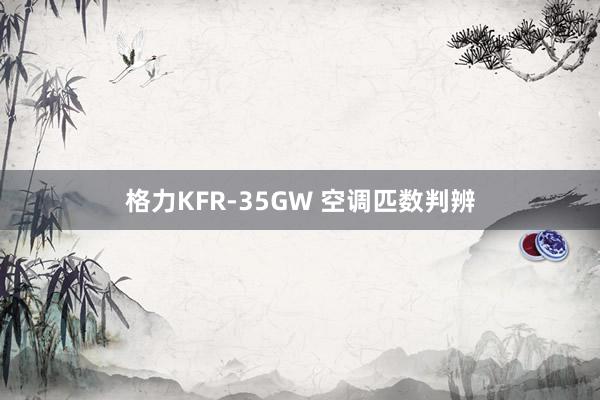 格力KFR-35GW 空调匹数判辨